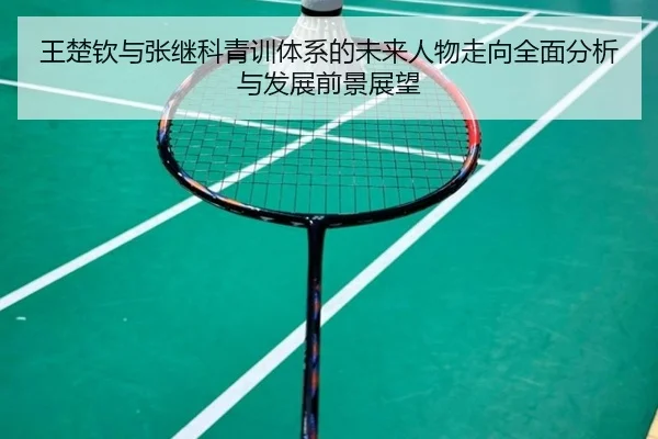 王楚钦与张继科青训体系的未来人物走向全面分析与发展前景展望